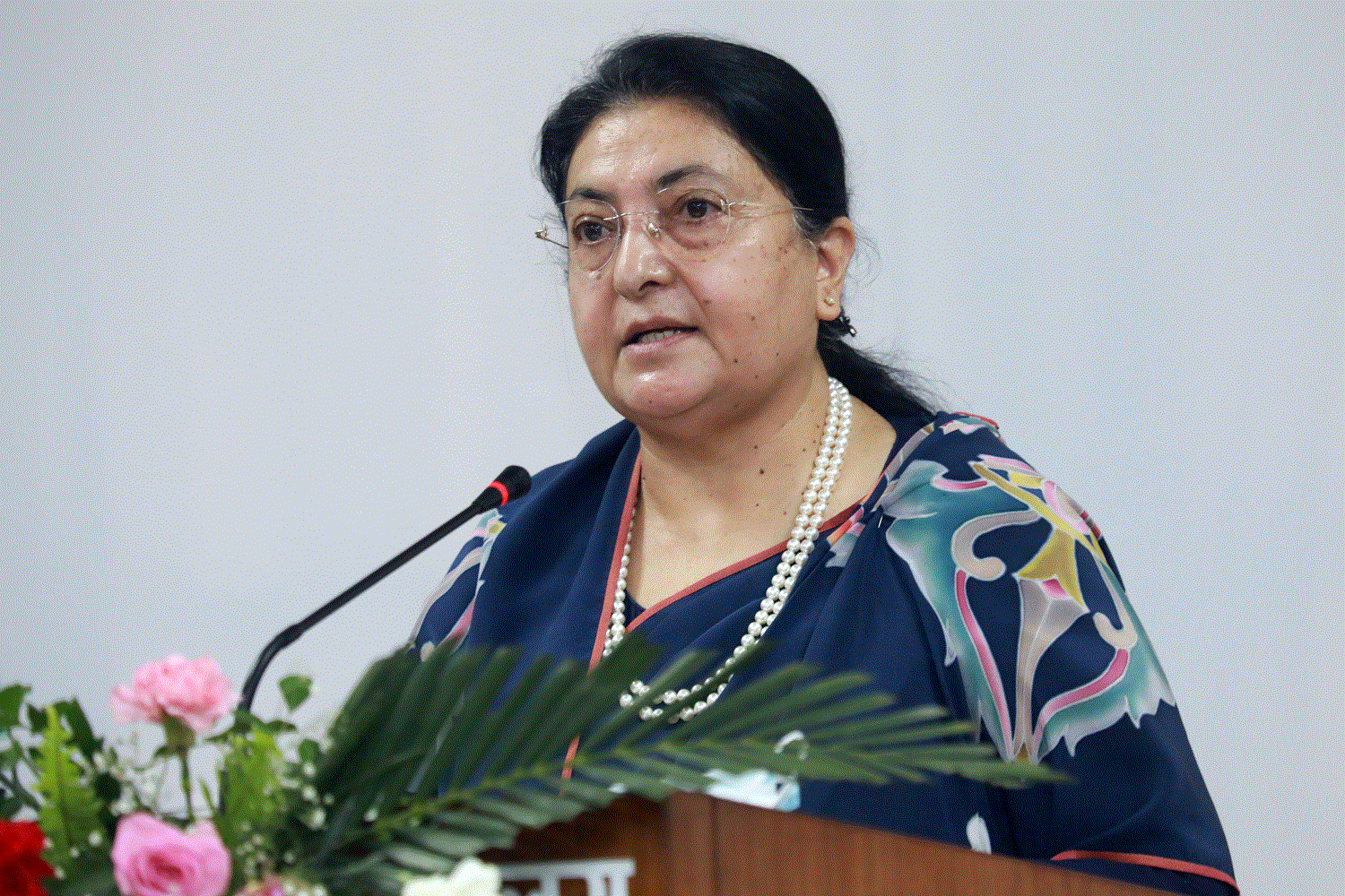 निहारिकाको विषयमा राष्ट्रपतिको चासो